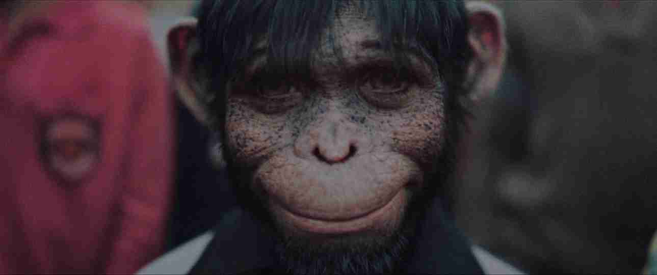 Better Man - Robbie Williams as Jonno Davies