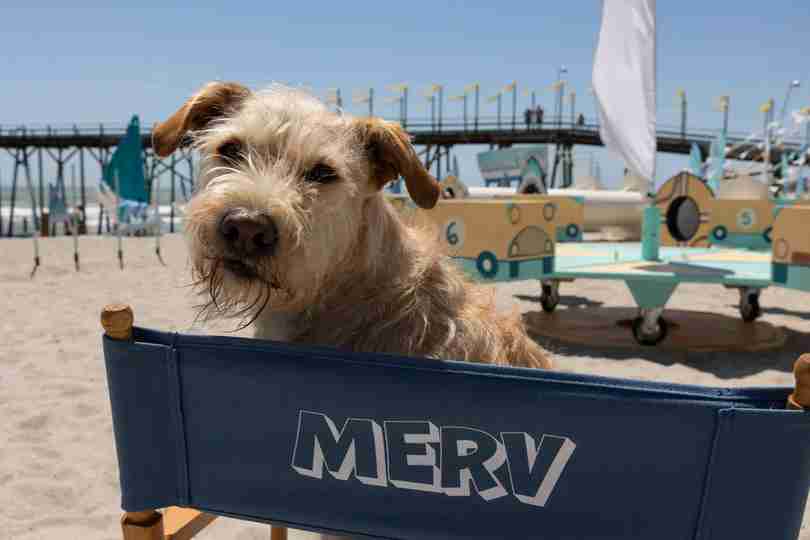 Merv - First Look at Merv at the Beach