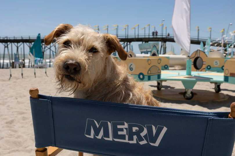 Merv - First Look at Merv at the Beach