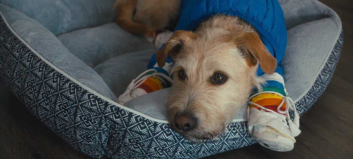 Merv - First Look at Merv