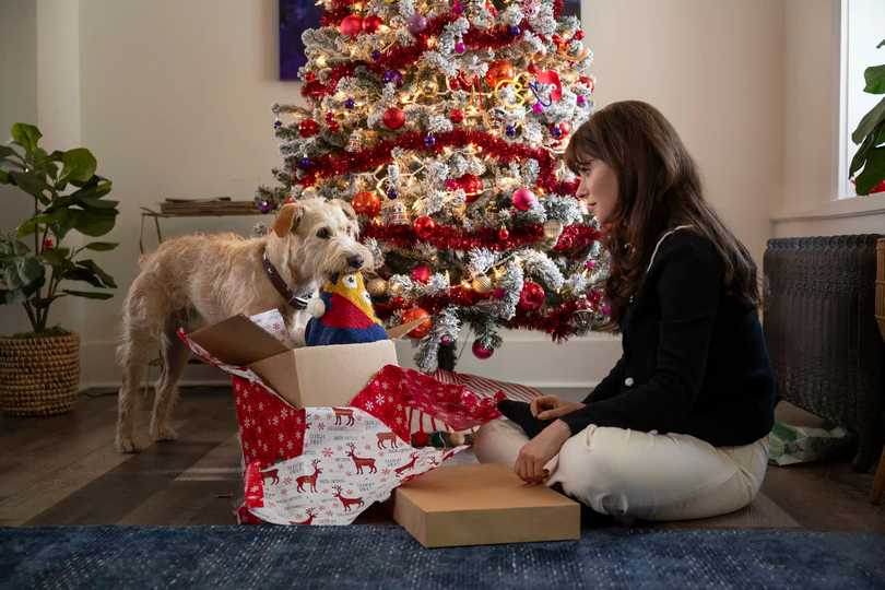 Merv - First Look at Merv and Zooey Deschanel