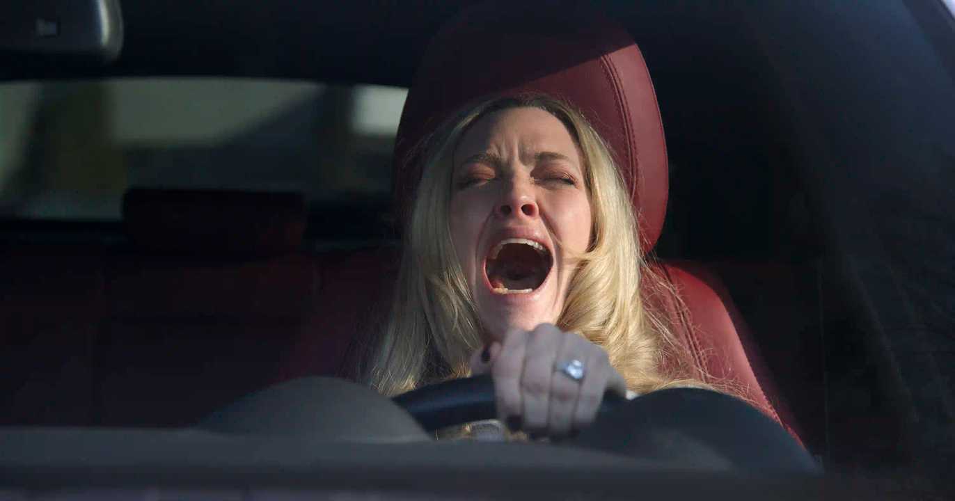 The Housemaid - Amanda Seyfried as Nina Winchester