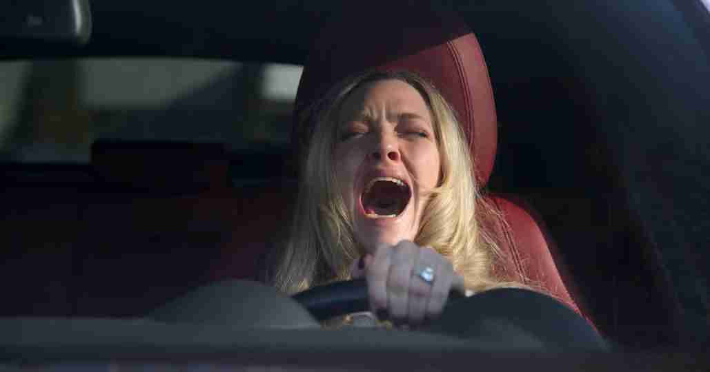 The Housemaid - Amanda Seyfried as Nina Winchester