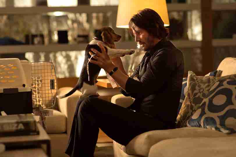 Wick Is Pain - Keanu Reeves as John Wick in John Wick
