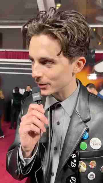 A Complete Unknown -  Top View (Timothée Chalamet)