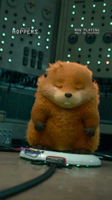 Hoppers - Grab Her Clip