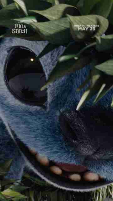 Lilo & Stitch - Hula Toolkit Clip