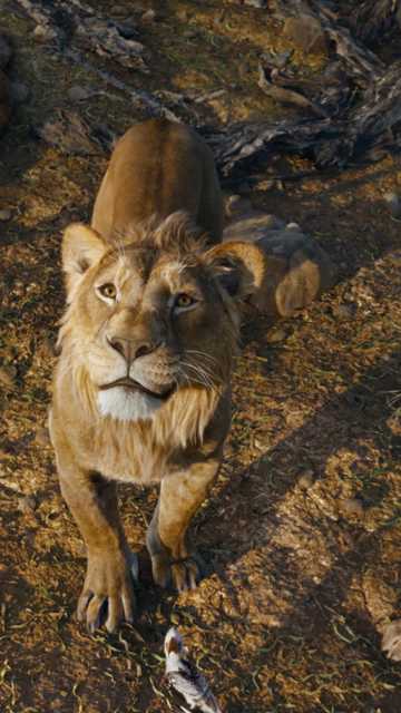 Mufasa: The Lion King - "Bye Bye No 1 America 2 Weeks" TV Spot