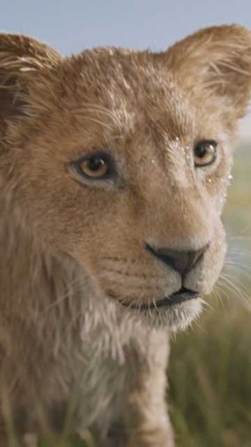 Mufasa: The Lion King - Find your pride