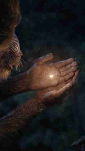 Mufasa: The Lion King - Rewind. Before the Scar, they were brothers