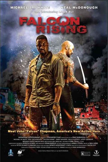 Falcon Rising Poster