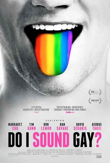 Do I Sound Gay? Poster