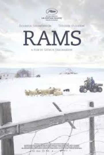 Rams