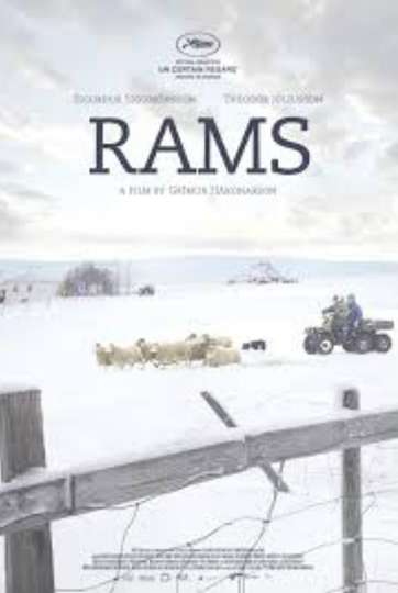 Rams Poster