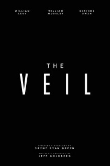 The Veil Poster