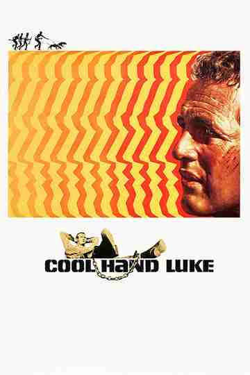 Cool Hand Luke Poster