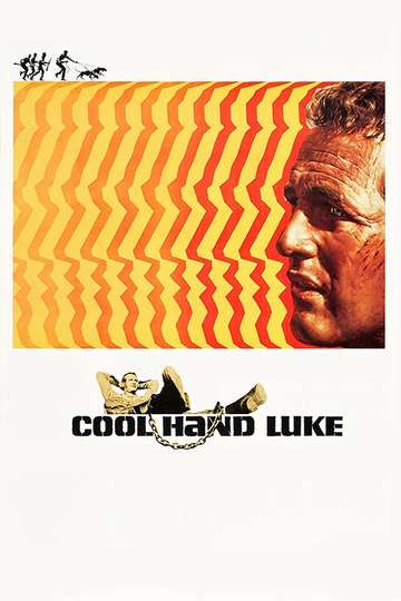 Cool Hand Luke Poster