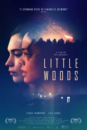 Little Woods Poster