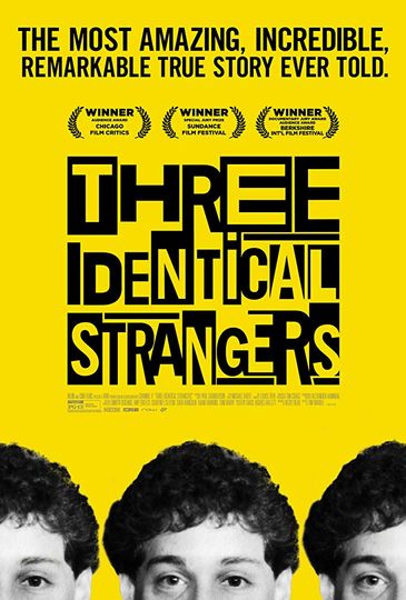 Three Identical Strangers Poster