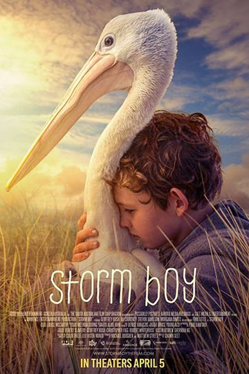 Storm Boy Poster