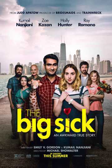 The Big Sick Poster