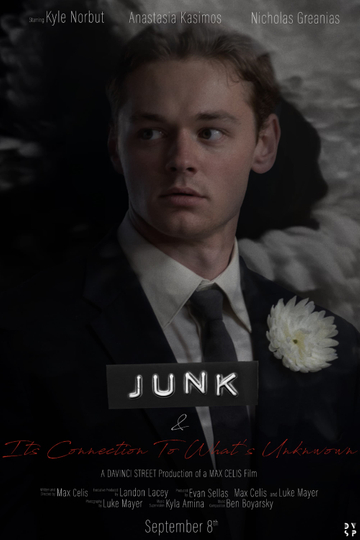 JUNK  Its Connection to Whats Unknown Poster