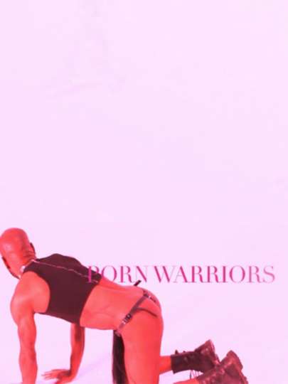 Porn Warriors Poster