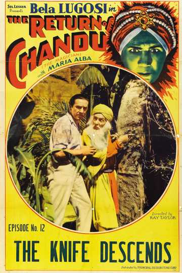 The Return of Chandu Poster