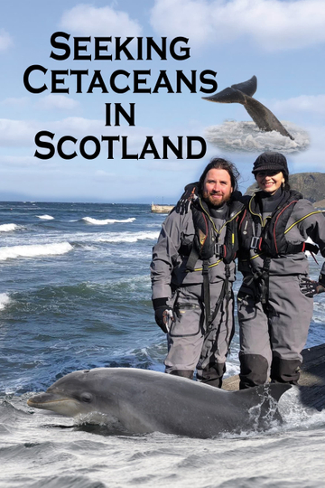 Seeking Cetaceans In Scotland