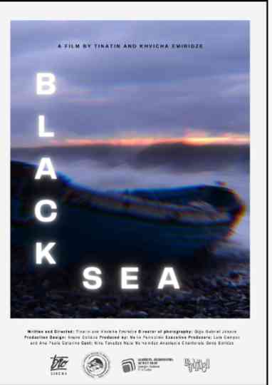 Black Sea Poster