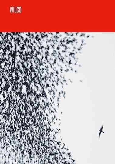 Wilco Shake It Off