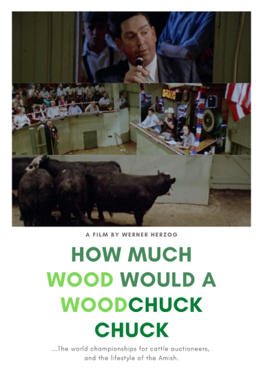 How Much Wood Would a Woodchuck Chuck Poster