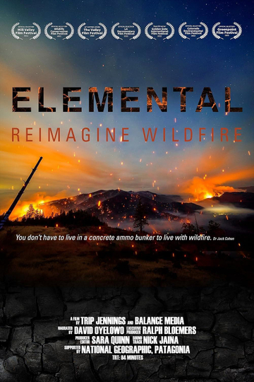 Elemental: Reimagine Wildfire Poster