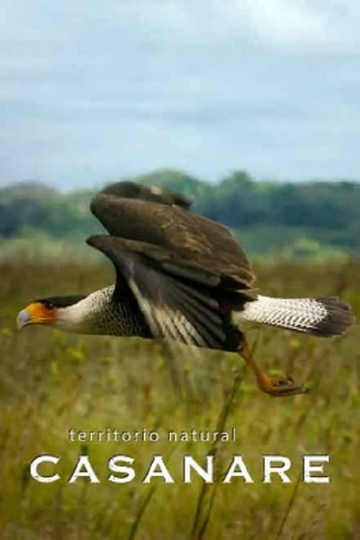 Territorio natural Casanare