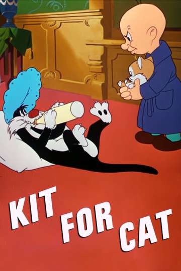 Kit for Cat Poster