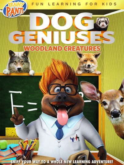 Dog Geniuses Woodland Creatures