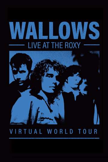 Wallows: Live at the Roxy Poster