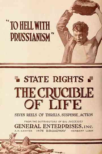 The Crucible of Life