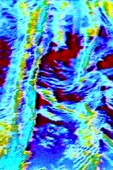 Sister's Bay Christmas Morning Poster