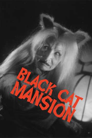 Black Cat Mansion Poster