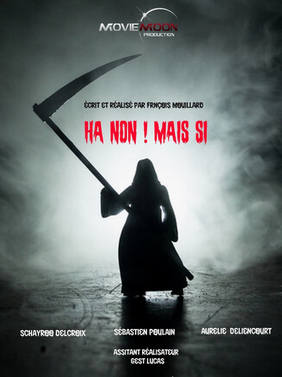 Ha non  Mais si Poster