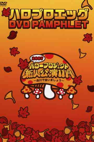 Hello Pro Egg DVD Pamphlet