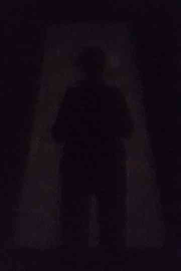An Image in the Shadow