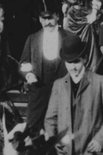 Marcel Proust at Elaine Greffulhes Wedding