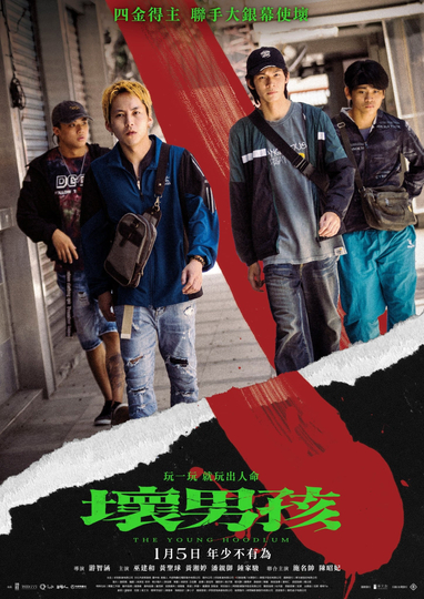 The Young Hoodlum Poster