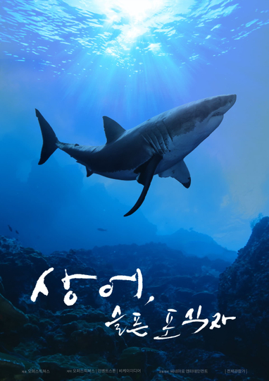 Shark A Sad Predator Poster