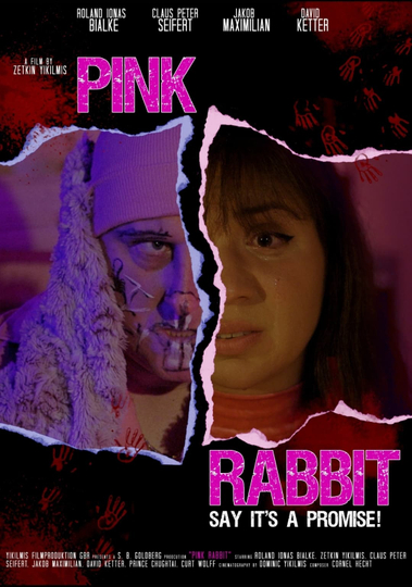 Pink Rabbit Poster