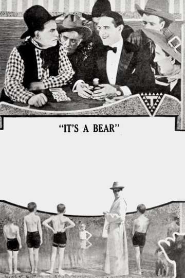 Its a Bear Poster