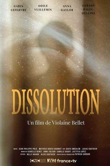 Dissolution Poster