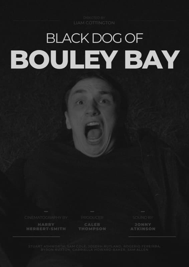 Black Dog of Bouley Bay Poster